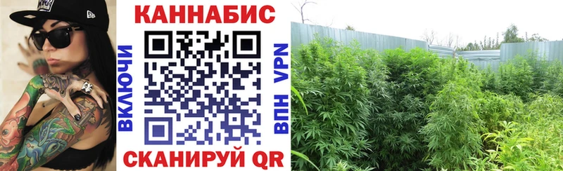 Где купить Кинешма Амфетамин ссылка на мегу ссылки ГАШ Мефедрон Бошки Шишки APVP Cocaine