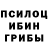 Псилоцибиновые грибы Psilocybe disney today