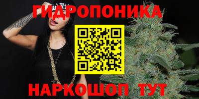 MESCALINE Гай