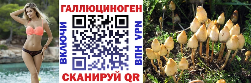 Галлюциногенные грибы мицелий  где купить наркоту  Кинешма 