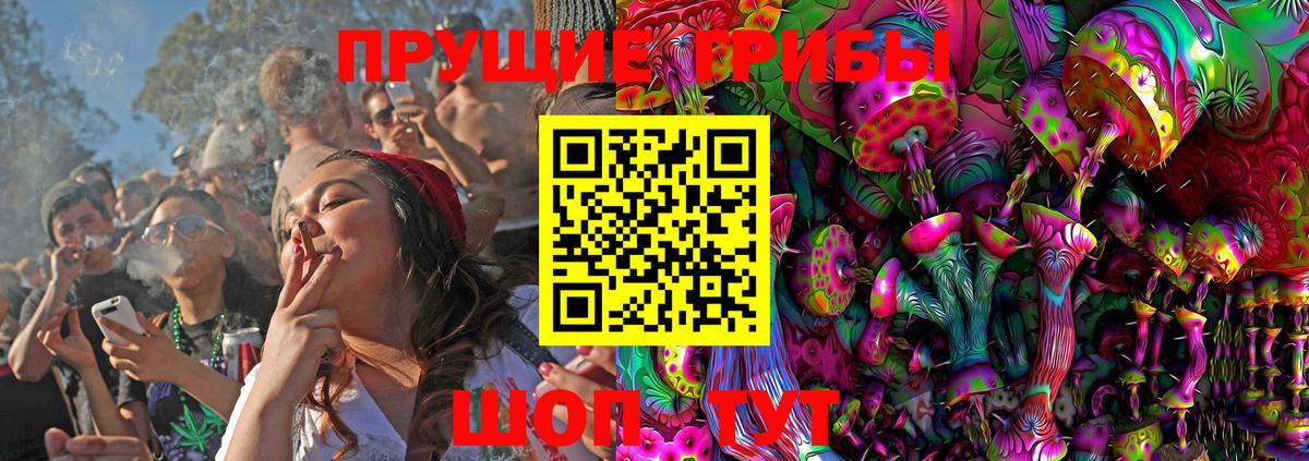 хочу   Псилоцибиновые грибы MAGIC MUSHROOMS  Вход с VPN  Кинешма 